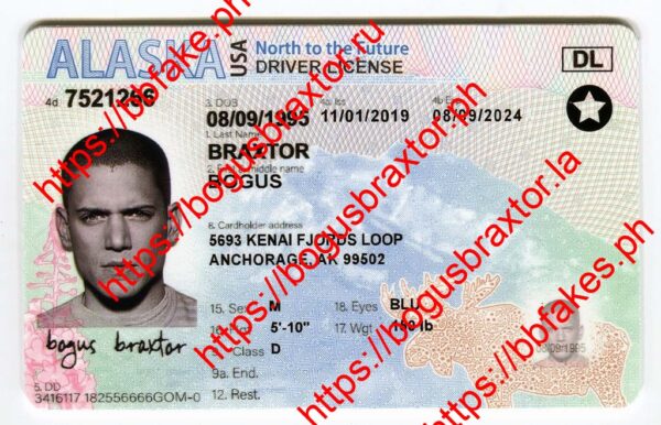 Alaska fake ID - Bogus Braxtor Fake ID