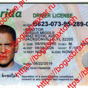 Florida Fake ID