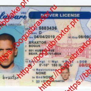 Delaware Fake ID