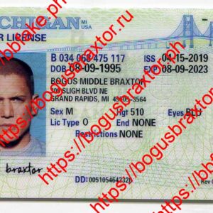 Michigan Fake ID