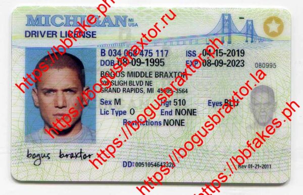 Michigan Fake ID - Bogus Braxtor Fake ID