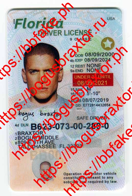 Florida(New FL U21 DRIVER V1) - Bogus Braxtor Fake ID