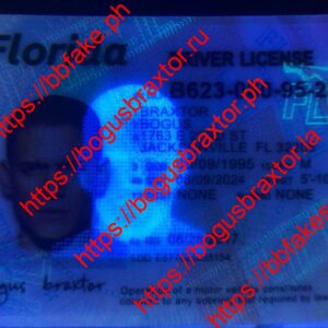 Florida Fake ID