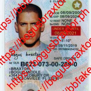 Florida Learner Fake ID