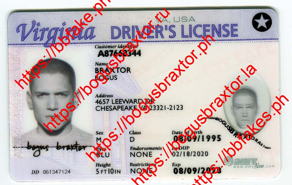 Virginia Fake ID - Bogus Braxtor Fake ID