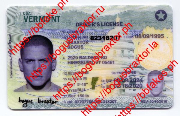 Vermont Fake ID - Bogus Braxtor Fake ID