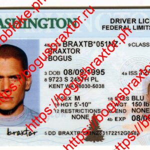 Washington Fake ID